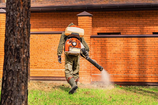 Trusted Termite Control service in Southgate, MI - Nex Pest Control